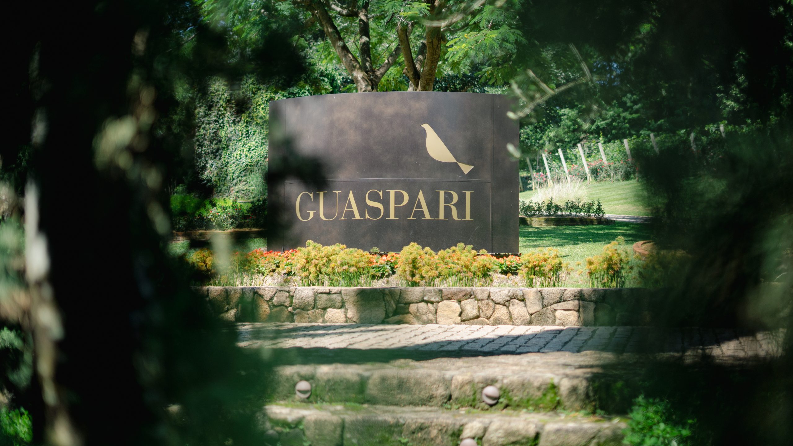 Guaspari
